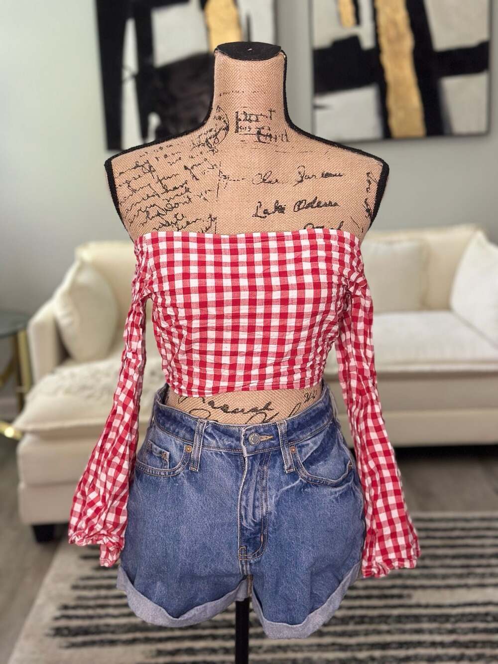 Red and White Gingham Off-the-Shoulder Long Sleeve Tie-Back Crop Top